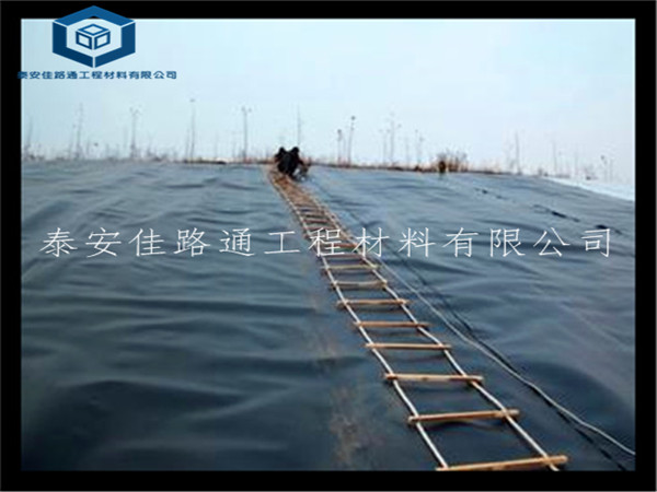 βVĤ(yng)Ã(ni)ɹŻV